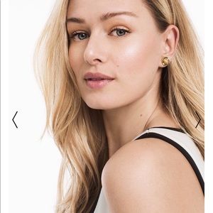 Jasper Stone Stud Earrings